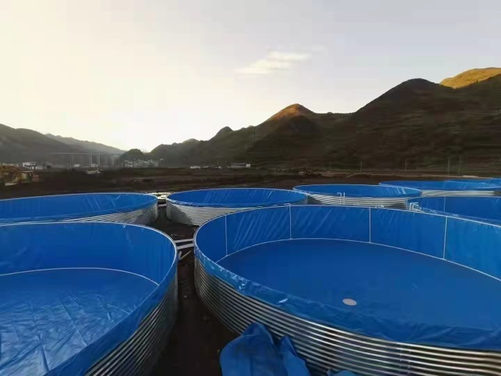 Galvanized Sheet Aquariums Tarpaulin Fish Farming Tanks 20M D 1.20M H