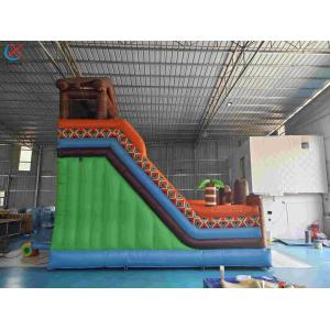 Inflatble Exotic Bouncy House With Internal Slide Combo Jumping Castle