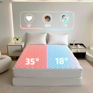  OEM Dual Zones Control Bed And Blanket Cooling System Warm And Safe Pod Bed Pad For Winter And Summer Mattress Topper Manufactures