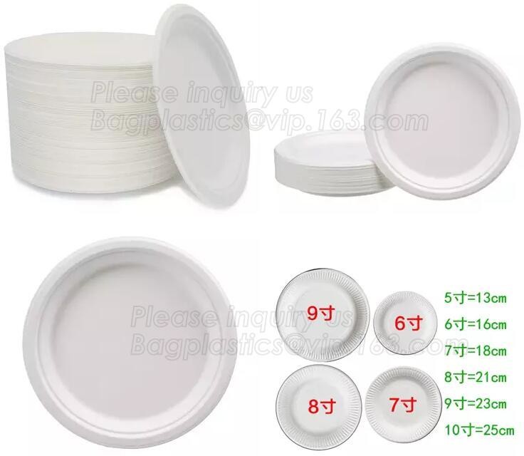 Meal Prep Containers Free Sample Bento Lunch Box Biodegradable Food Container Plastic Wheat Straw Lunch Box bagplastics