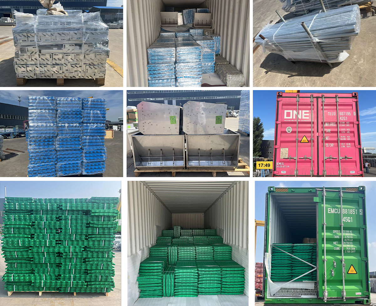 Aluminum Alloy Window Prefab Steel Construction Agricultural Building for Cattle Barn