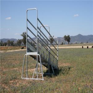 Adjustable Cattle Loading Ramp 50mm X 50mm X 2.00mm Frame 1.5m Overall Height