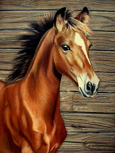 full Diamond Painting Animal Series Embroidery square Rhinestone Crystal Drill