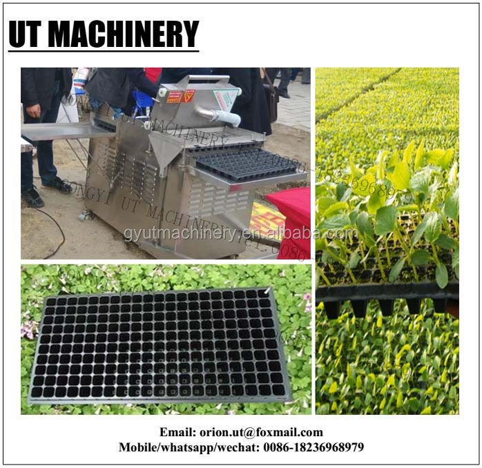 7 Rows Vegetable Tray Seeding Machine for Good Economic Benefits and Easy Operation