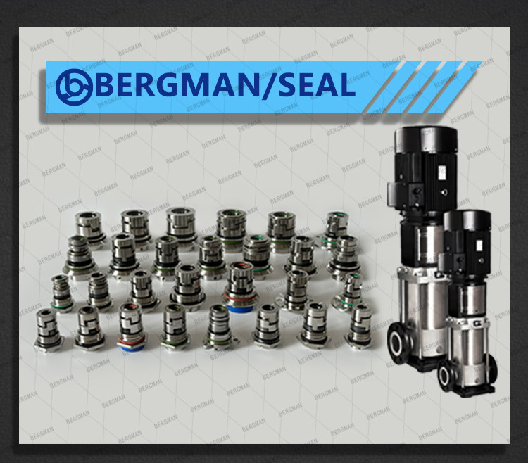 BERGMAN Replace Grundfos GLF-SRL-SA-32L 38L 50L 65Lmm Sewage Pump Mechanical Seal Cartridge Seal