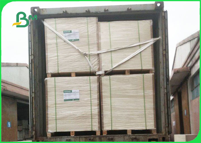 Waterproof 300gsm + 18g PE Cup Stock Paper For Hot / Cold Drink 740mm 800mm