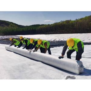 1.0-2.0mm HDPE Geomembrane Liners for Waterproof Landfill Projects in White