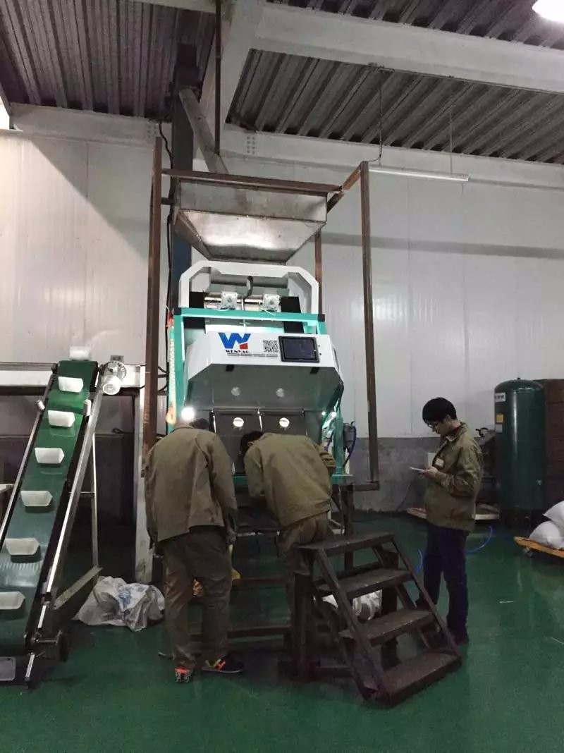 Wenyao Newest Optical CE Certificate Pumpkin Seeds Watermelon Seeds Color Sorting Machine
