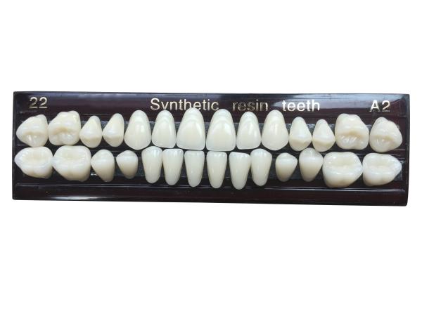 Material Dental Acrylic Resin Teeth Tooth Colored Acrylic Resin Teeth For