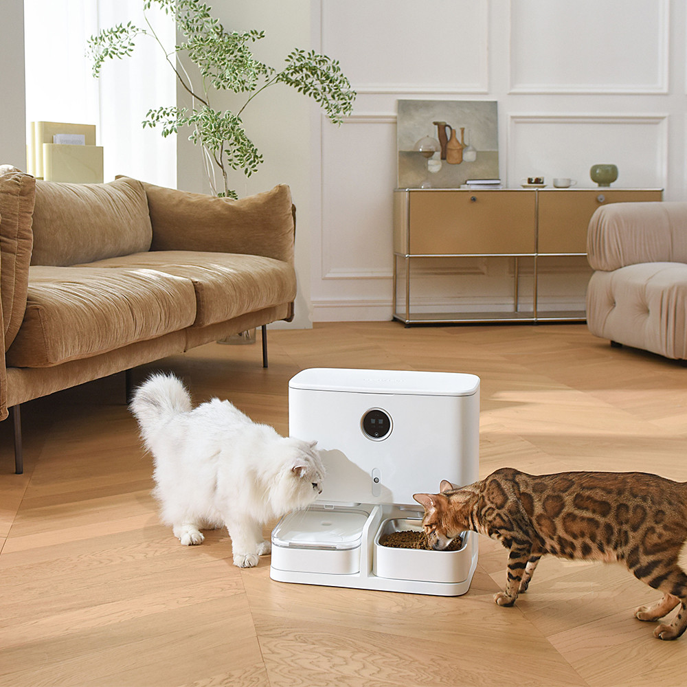 Automatic Feeding 6L Pet Feeder And Water Dispenser LCD Display For Cats / Dogs