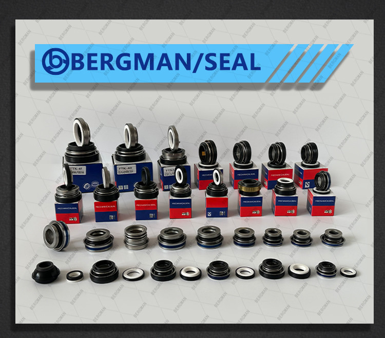 BERGMAN FBU FB-12 13 15 16 17 20 25mm Automobile And Motorcycle Water Pump Water Seal Mechanical Seal
