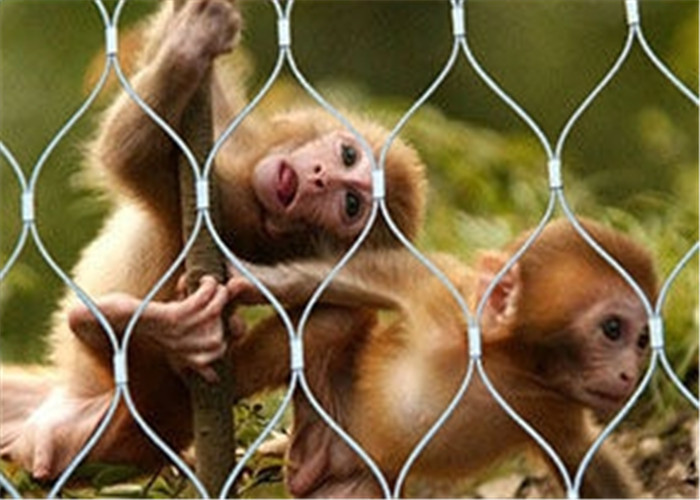 Durable Stainless Steel Zoo Mesh , Stainless Steel Zoo Fencing Materials