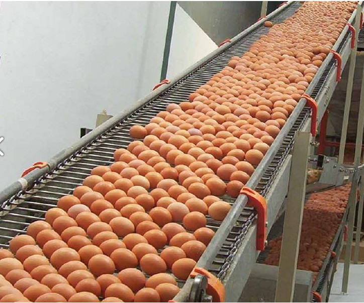 316 Stainless Steel Conveyor Wire Mesh Belt For Spiral Cooling Tower