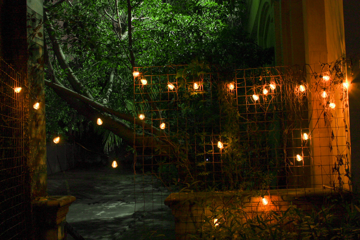 Outdoor String Lights 50Ft 24 Bulbs LED Patio Lights String E12 Hanging Sockets Waterproof IP65 Diamond Shaped Festoon Lights