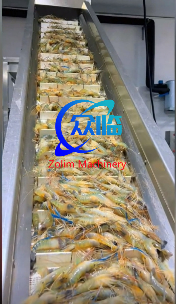 Stainless Steel 304 Automatic Raw Material Weigher, Automatic Fish Weigher