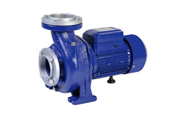 2 HP 1.5 KW Centrifugal Water Pump High Flow Rates For Drainage / Gardening