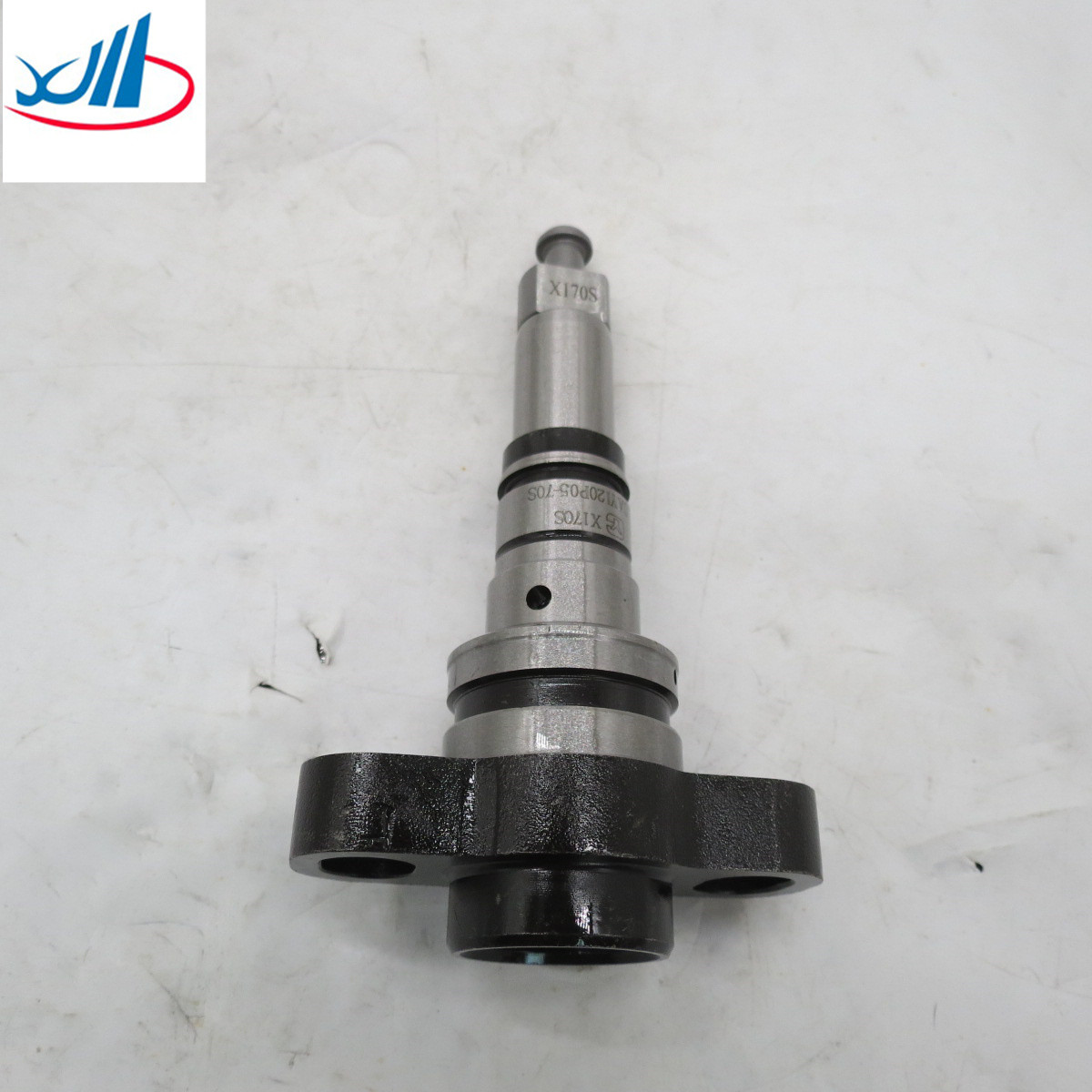 Liuqi Chenglong Parts Diesel Fuel Pump Plunger Element 2418455333 2 418 455 333 2455-333