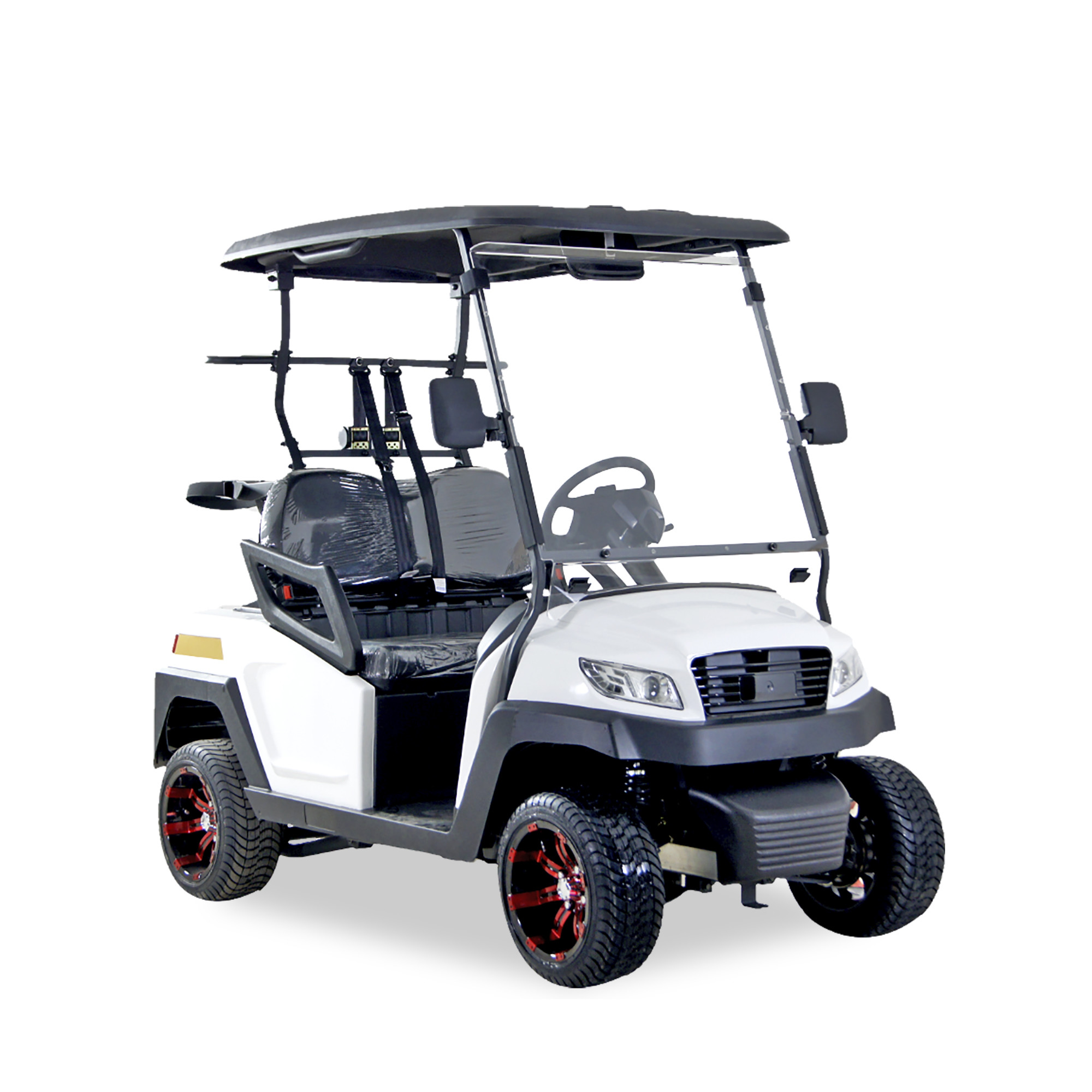 Electric Golf Buggy 2 Passenger Intelligent Onboard Charger M Series