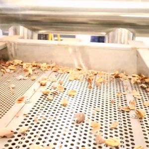 CE Certified Dry Cracking Pecan Shelling Machine 100000 Nuts Capacity 220V