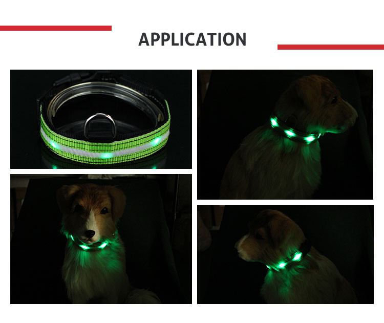 Night Safety Flashing Glow USB Rechargeable LED Dog Collar Leashes Pink / Blue / Red