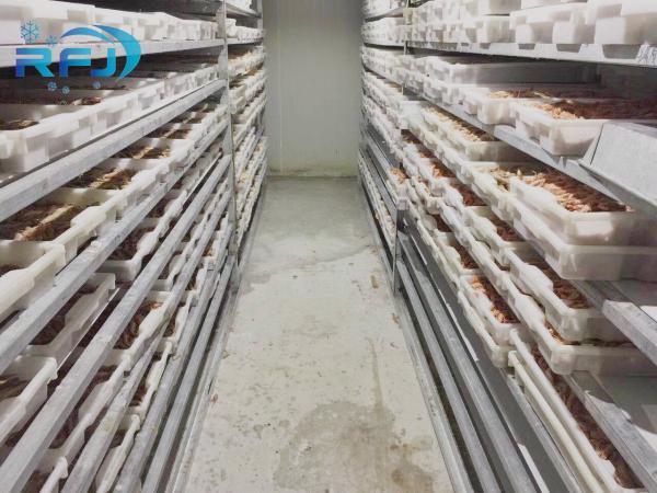 Fresh Tuna Small Tunnel Plate Blast Walk In Freezer Industrial Seafood Iqf Cold