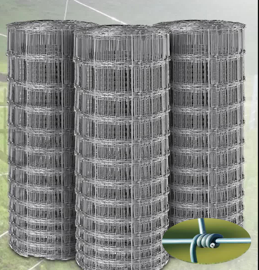 Premium Thick-Wrap Canvas Wall Art entitled Payson Utah Temple, Field and Fence,