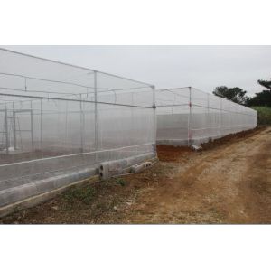  High Density Polyethylene Monofilament Yarns Anti Insect Nets For Greenhouse Manufactures