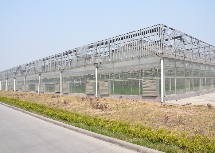 1000x1000mm Heavy Duty Exhaust Fans Agriculture Greenhouse Flower Roses 12 Inch 24 Inch