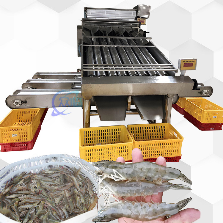  3P Multiscene Shrimp Grading Machine Automatic Multi Function Manufactures
