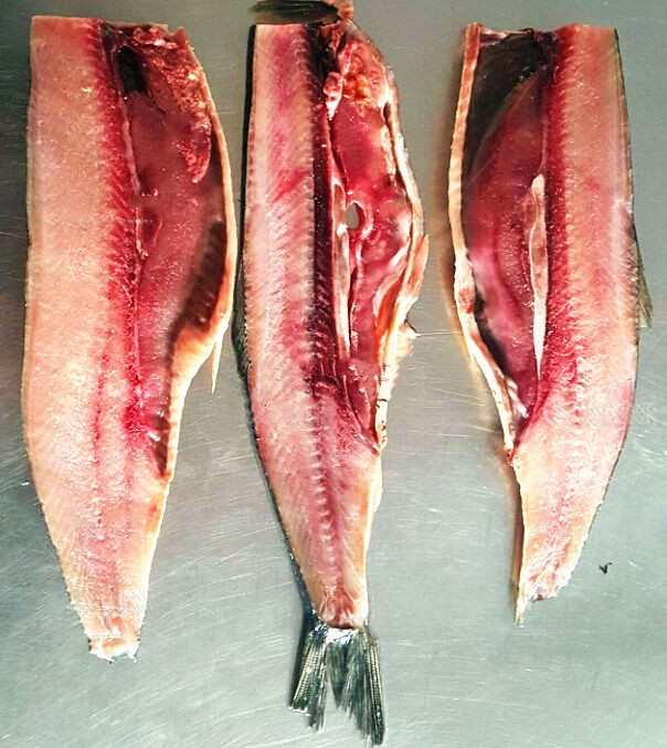 Slicer Cut Fish Processing Machine Salmon Smoked Horse Fish Atka Horse Cod Deboner