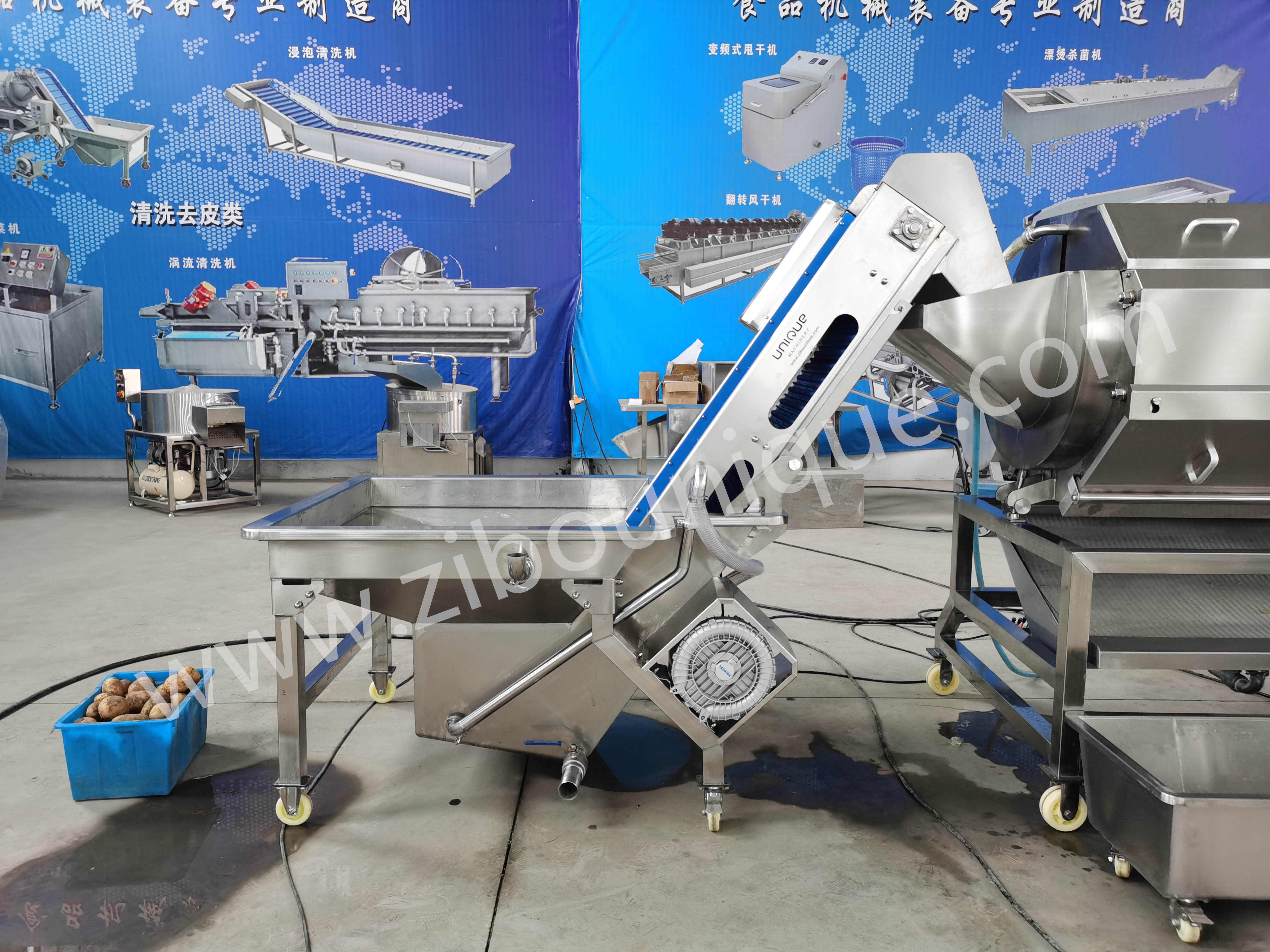 240 KG Automatic CE Certificate Vegetable Carrot Sweet Potato Soaking Elevator for Fruit and Vegetables