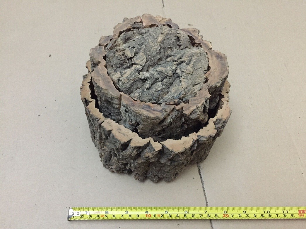 Nature Round Cork Bark Planter for for Gardening, Orchids, or Succulents