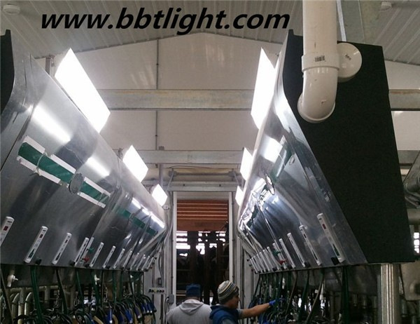TUV RoHS UL IP65 45W LED Linear Light Bar with 3 Years Warranty