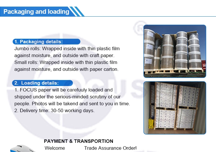 Focus Brand Thermal Paper Jumbo Roll; Blue Imaging Black Imaging45GSM/48GSM/55GSM/58GSM/60GSM/65GSM/70GSM/80 GSM