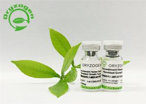  Plant Derived Human Fibroblast Growth Factor ISO9001 Approved Manufactures