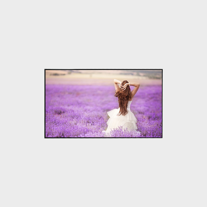  55 inch High Brirghtness LCD Display 3840*2160 V-by-One 3000 Nits Display Manufactures
