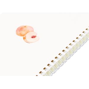 Art diy Spiral Bound Book custom spiral binding book printing