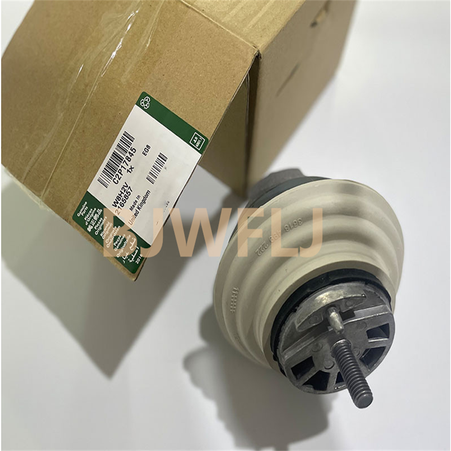 Freelander 2 Evoque Jaguar Land Rover Engine Parts LR025601 LR047384 2.0l Petrol Brake Vacuum Pump