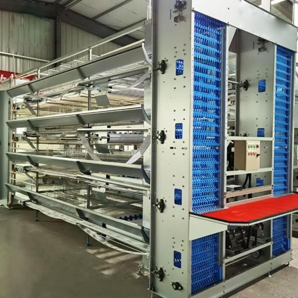 Galvanized Steel 96-200 Birds Poultry Battery Cage System For Layer Farm Emily