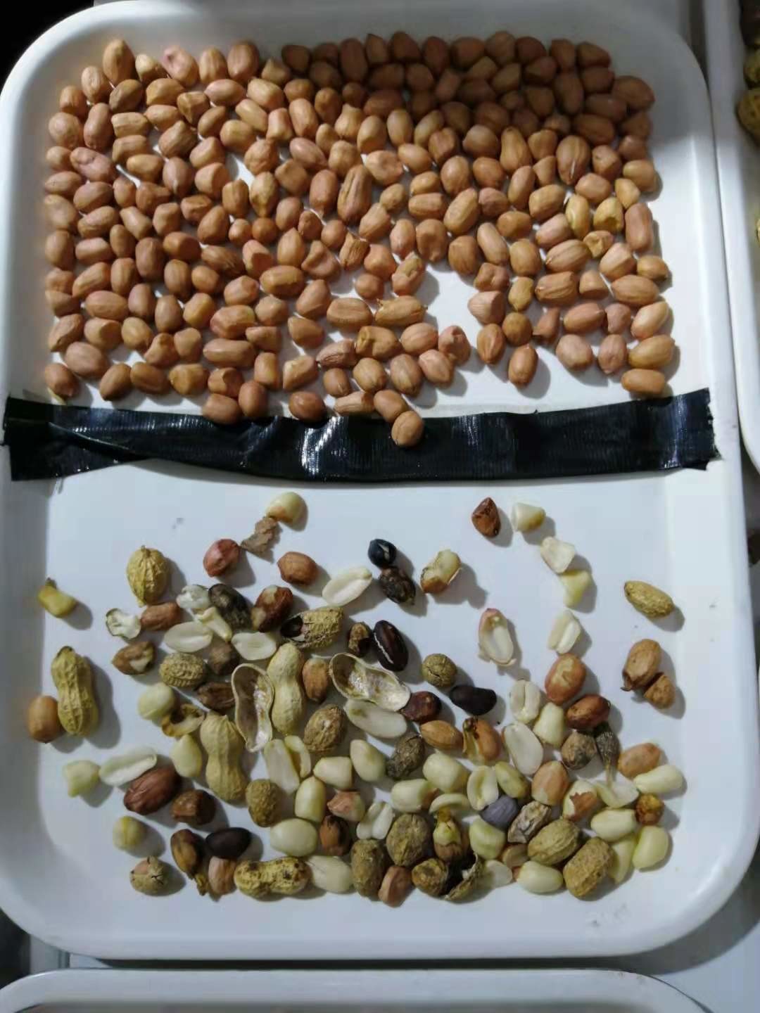 Peanut Groundnut Optical Sorting Machine High Accuracy Stainless Steel Almond Raisin Sorter