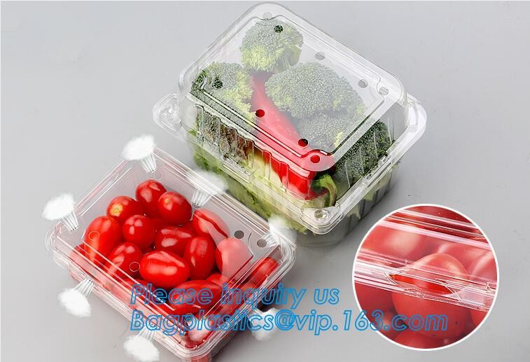 disposable cornstarch convenience takeaway plastic food bowl,BPA free bamboo fiber plastic food bowl with FDA, fast food
