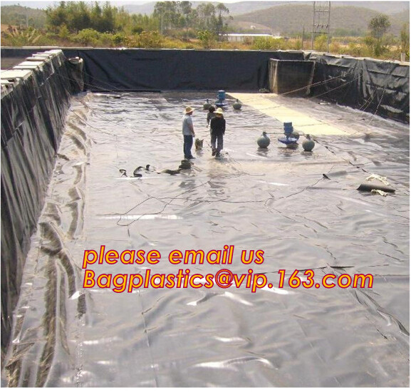 2mm HDPE reinforced polypropylene geomembrane for landfill,Geomembrane fish farming Pond Liner Hdpe Geomembrane BAGPLAST