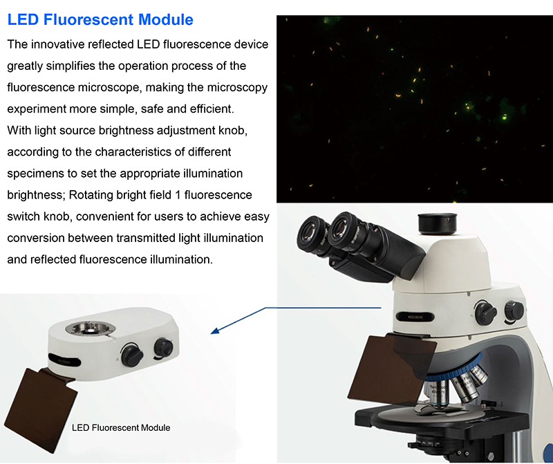 A12.0933 Opto Edu Trinocular Biological Microscope Lcd LED Laboratory ECO