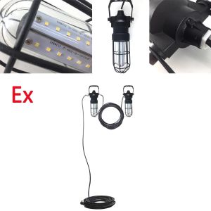 Portable LED Explosion Proof Work Light for Class I Div 1 & 2 Hazardous Areas