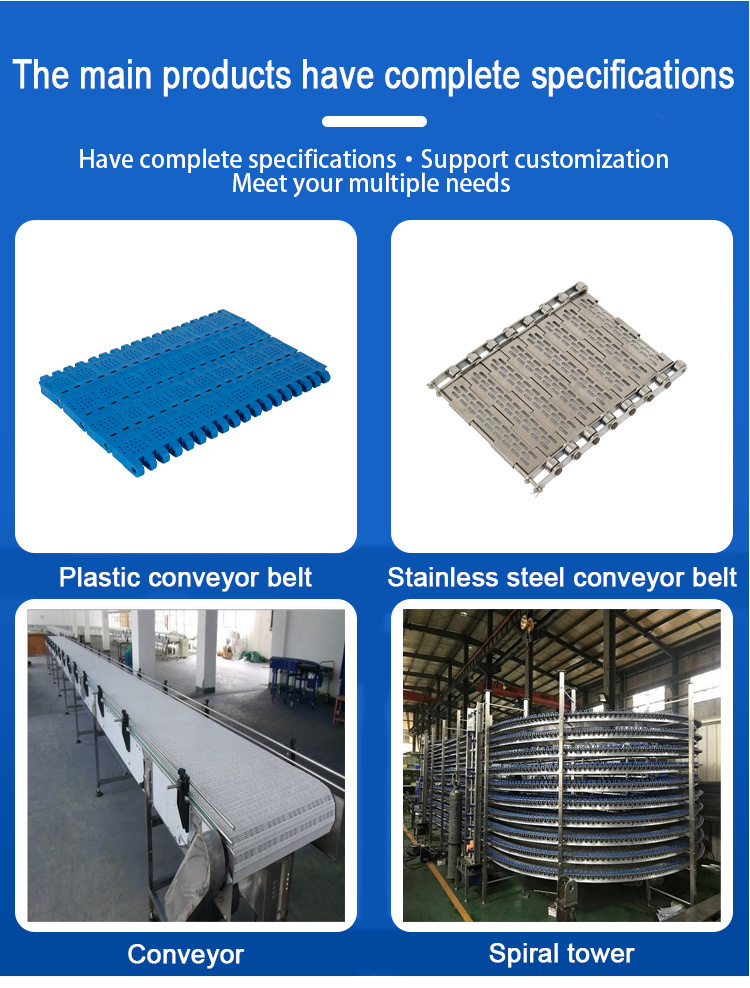 Easy-to-Clean Plastic Conveyor Belt Low Cost for Meat/Poultry Vegetables
