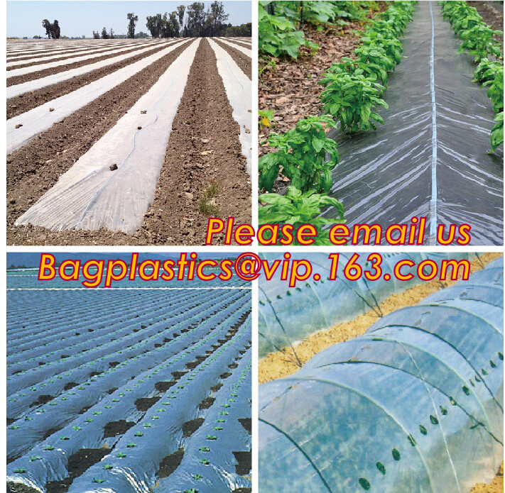 Transparent / Black / Silver / White color Plastic PE LDPE Agriculture Mulching Film,panda strawberry mulch film/black w