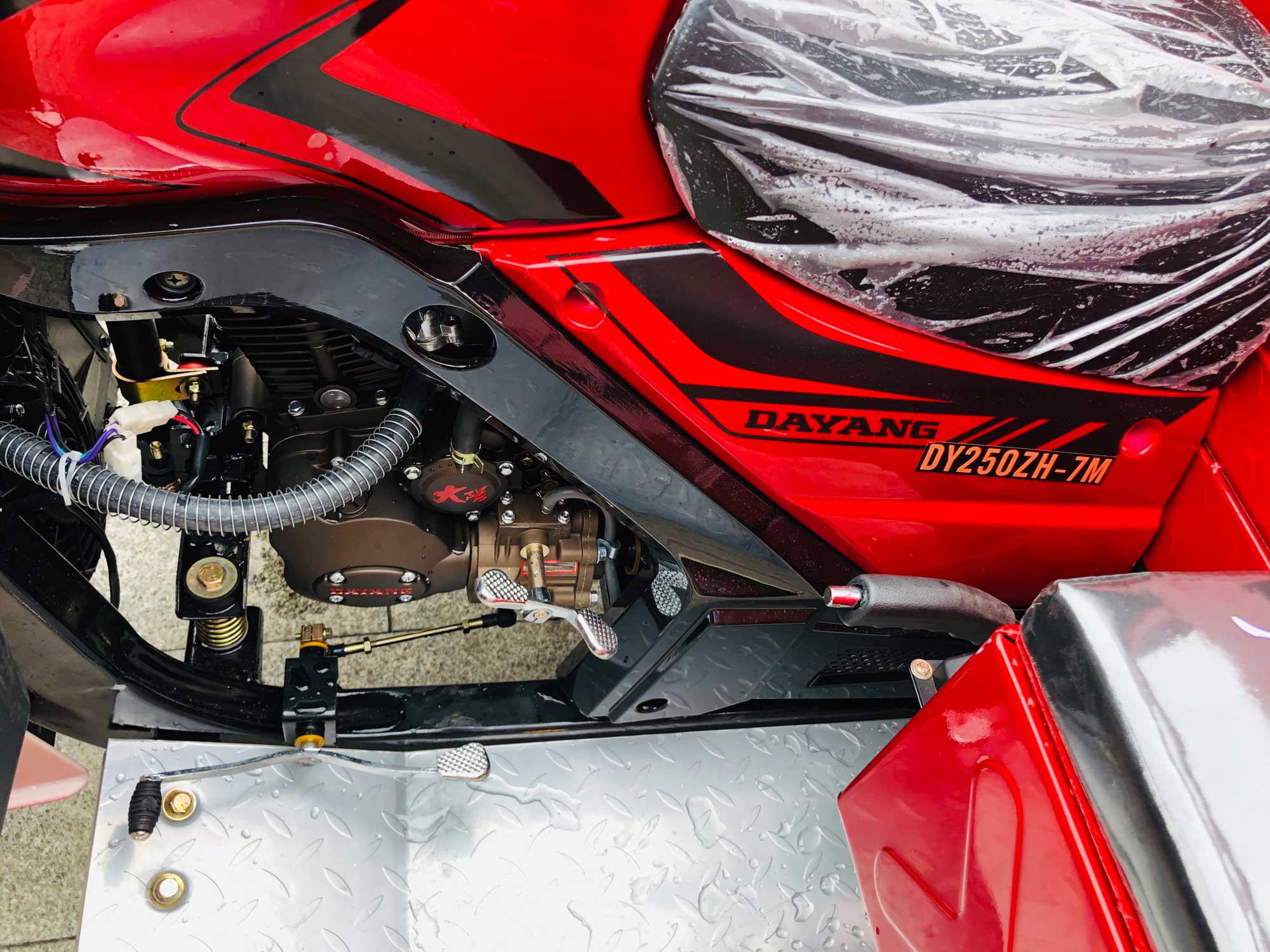800W DAYANG DY-R1 RUITENG 250cc Cargo Tricycle for Heavy Duty CCC Three Wheels Motorcycle