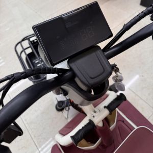 Stylish Semi Open Electric Trike With Waterproof Canopy And Spacious Seat