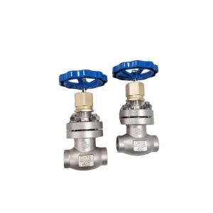  Cryogenic Globe DN15 Socket Weld Globe Valve Temperature -80C Manufactures