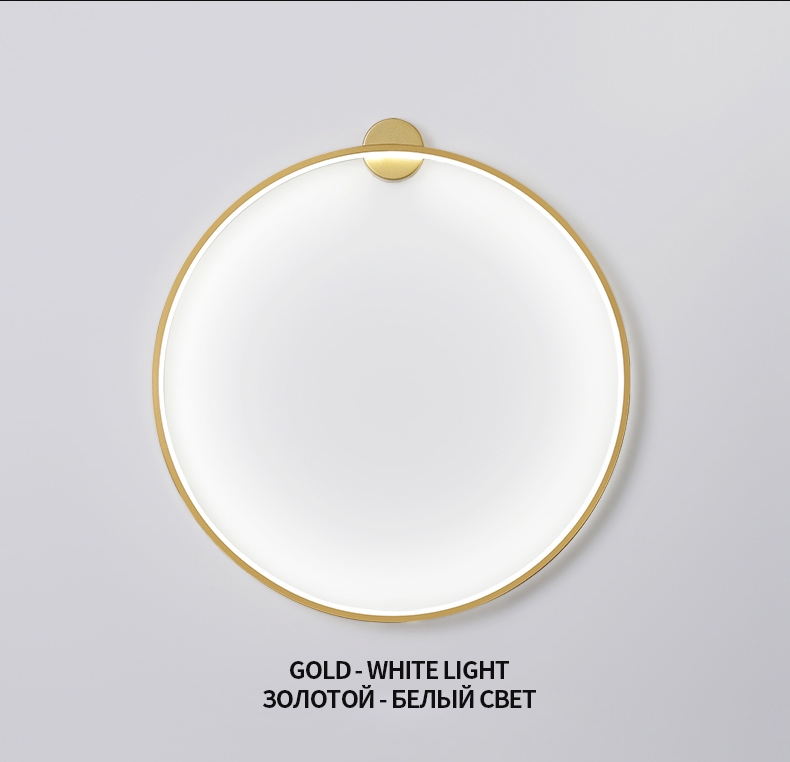 Minimalist modern background wall led wall lamp designer art living room sofa circle wall lamp(WH-OR-232)